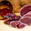 ##tt##- ظرف زعفران گرد - 5 تخت کریستال  38416