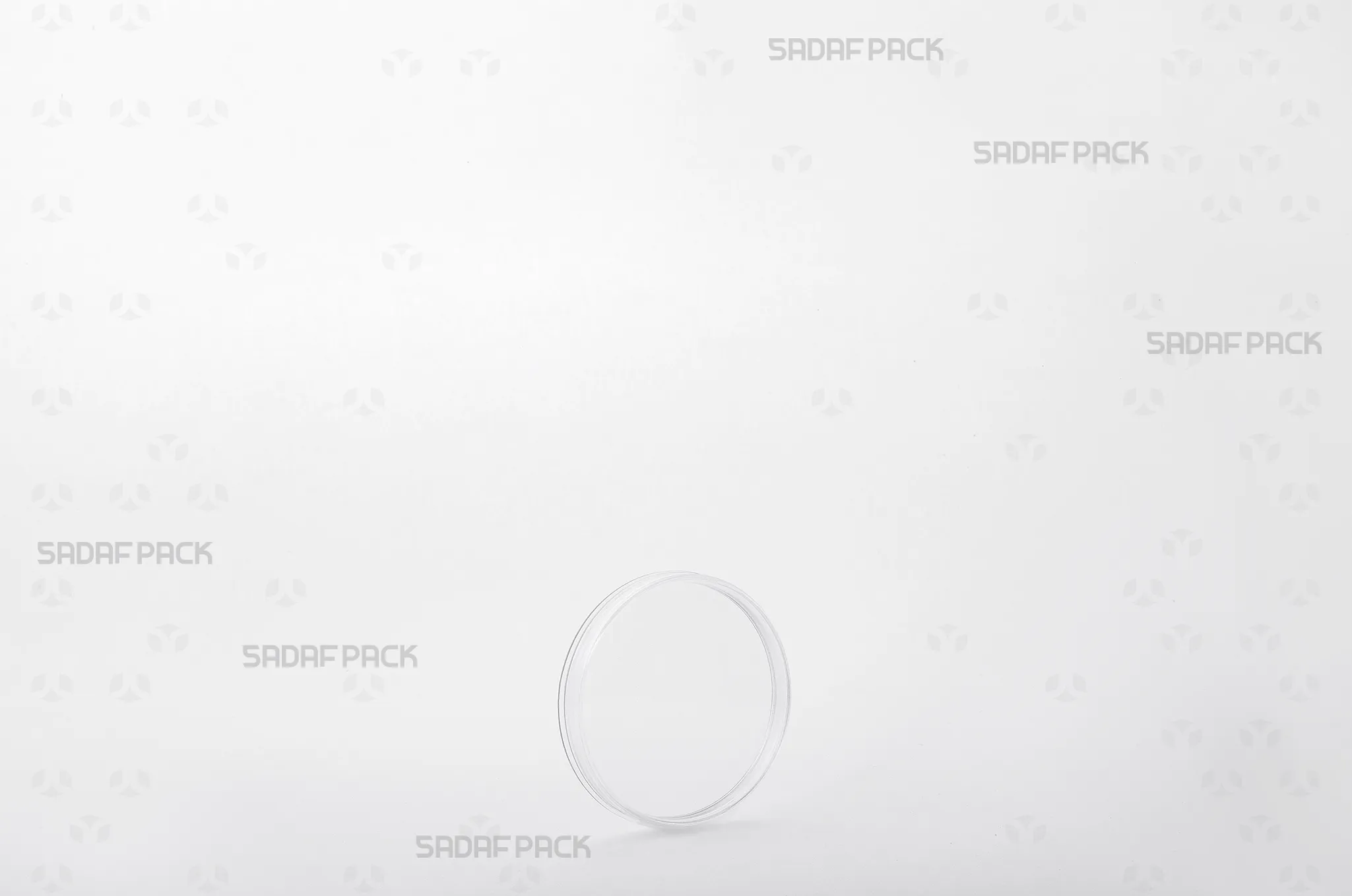 ظرف 5 تخت کریستال صدف پک، نمای سه رخ برای نمایش زعفران و هل